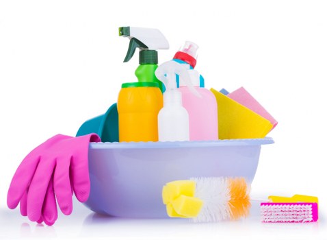 Cleaner Harringay service terms and conditions introduction