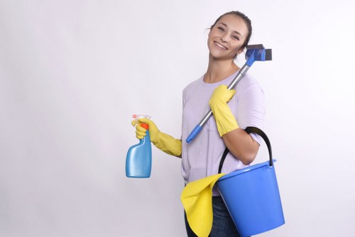 Facade cleaning service for Harringay brick and render properties