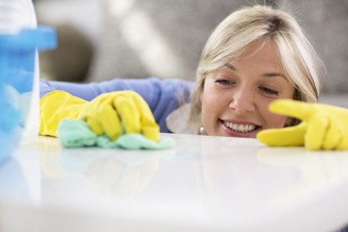 Regular house cleaning in a Harringay family property
