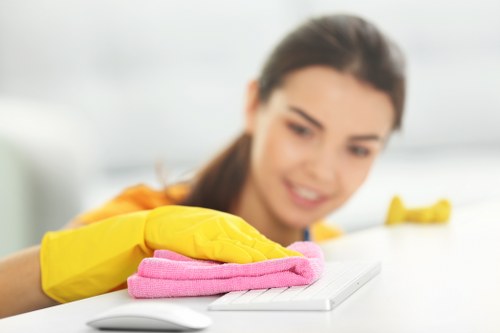 Local cleaner carrying out routine home cleaning in Harringay