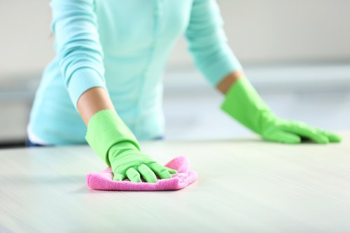 Cleaner carrying out a careful safety check during a cleaning visit