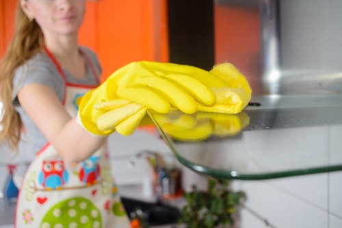 Regular cleaning support for flats and small businesses in Harringay