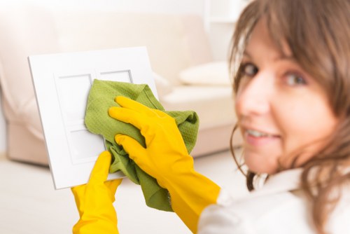 Cleaner Harringay support for an organized and hygienic workspace
