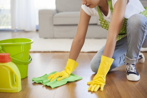 Deep cleaning a sofa affected by pet stains in Harringay
